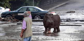 Ausnahmezustand in Georgien. (Foto: