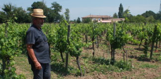 Winzer Thomas Fabian auf seinem Weingut